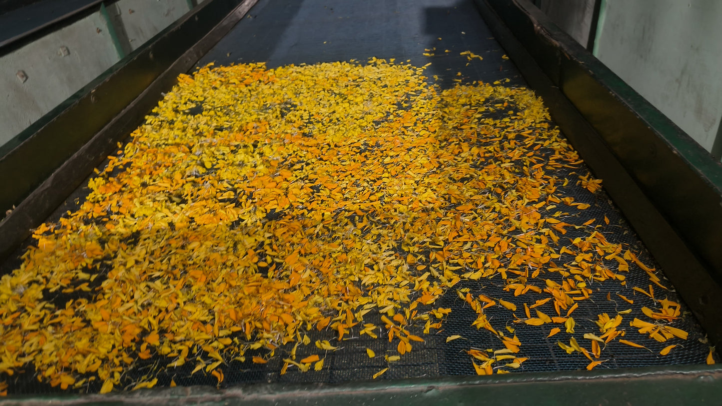 Marie Gold Moon Drop Tea